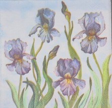 TWO Individual Napkins Flowers