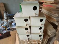 7 nids perruches ondulee