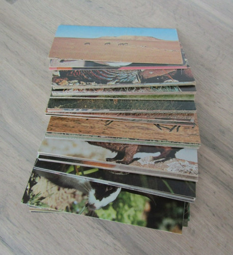 Nestlé lot cartes - ,