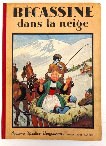 Bécassine dans neige - bécassine,