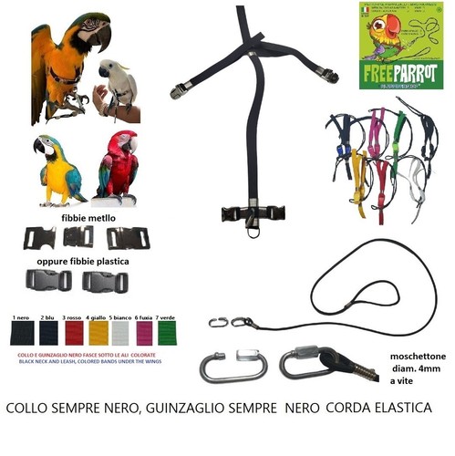 Harnais pour perroquets grand - perroquets,