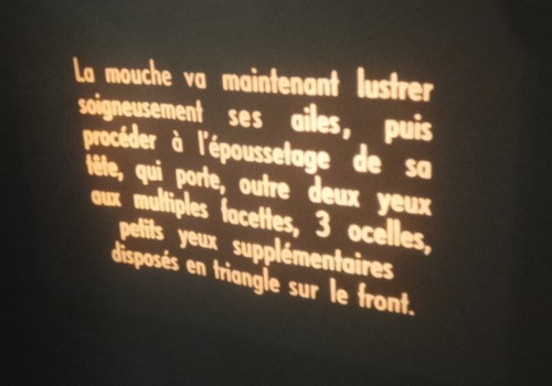 Film les aventures - mm,