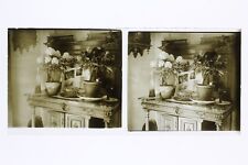 Fleurs Nature morte France Photo Stereo L1n17 Plaque de verre Vintage