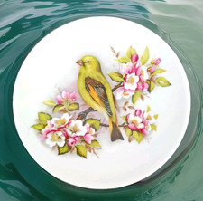 Assiette oiseau en porcelaine