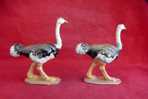 Quiralu autruches animaux - 2,