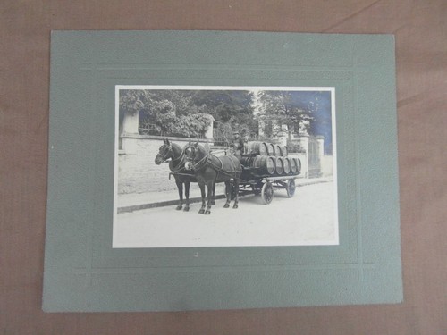 Photo ancienne attelage - photo,