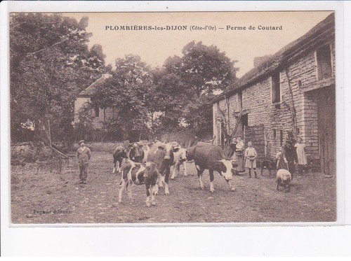 Plombieres les dijon - plombieres-les-dijon:, ferme