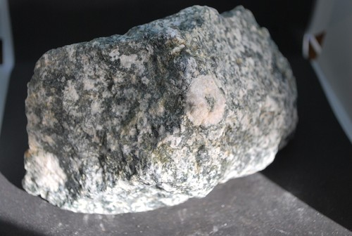 Rare diorite orbiculaire - diorite,