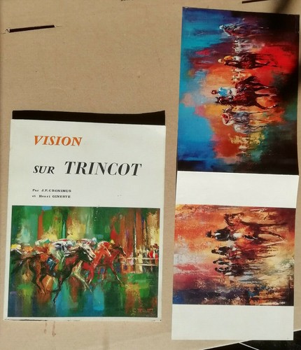 Vision sur trincot - sur,