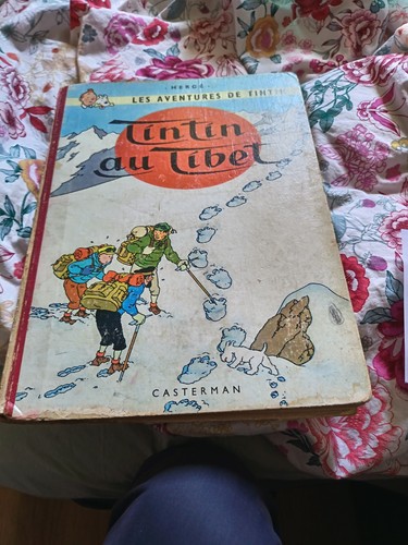 Tintin tibet française - au, eo
