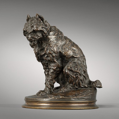 Chien assis griffon - griffon, »