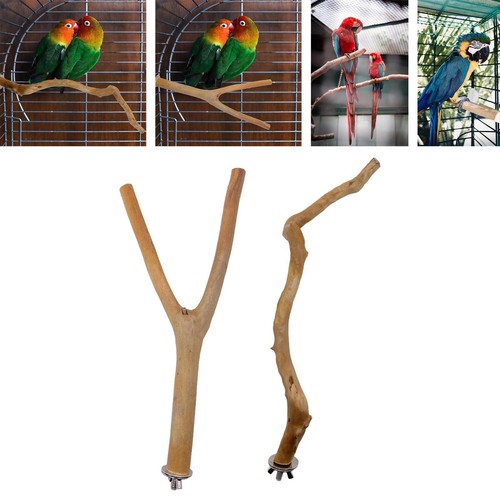 Support perroquet bois - support,
