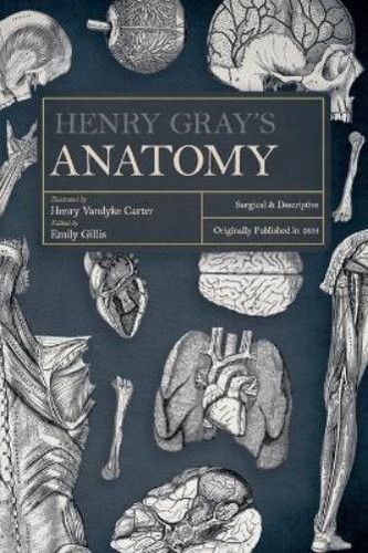 Henry gray - gray,