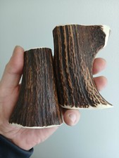 236. Corne de cerf rouge