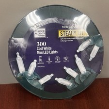 Home Accents 300 Count Warm