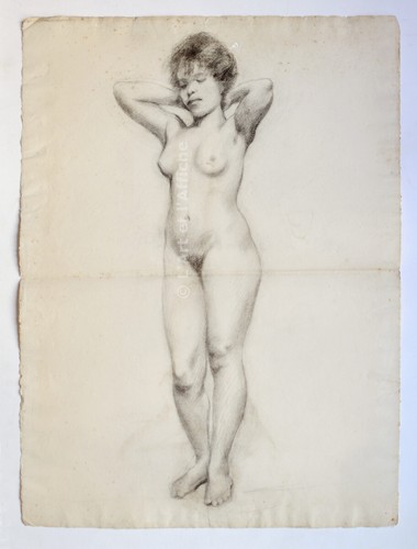 Dessin fusain étude de - au,