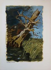 Roland OUDOT : Le chêne et