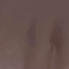 Morceau de croûte de cuir