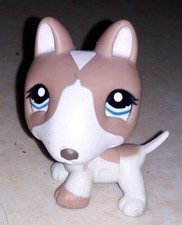 Petshop chien bull terrier 1095