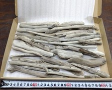 Bois flotté du Japon