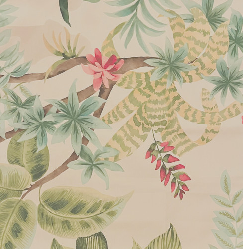 Manuel canovas olympia - canovas,