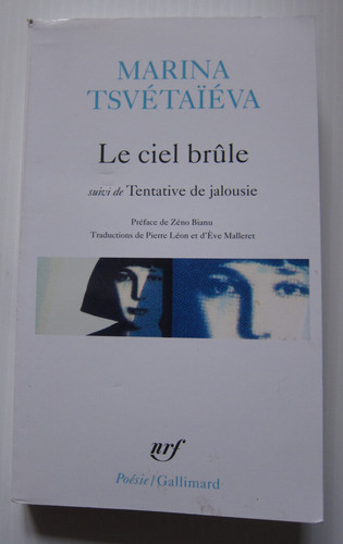 Marina tsvétaïéva le ciel - marina,
