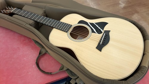 Taylor mini acoustic - taylor, gs