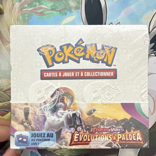 Pokémon jcc display - pokémon,