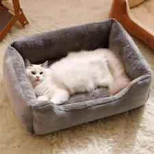 chat chien, lit, tapis, doux