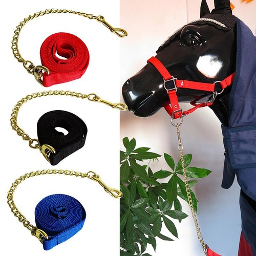 Laisse pour cheval pp - laisse,