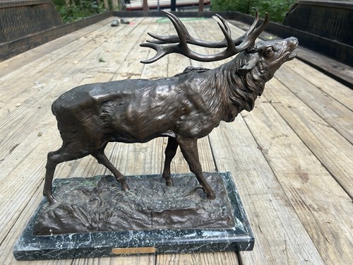 Large elk stag - large, buck