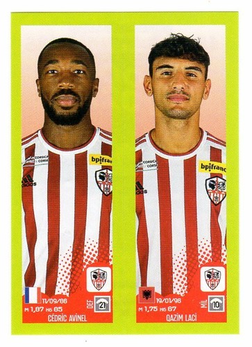 Sticker panini foot 2022 - foot, ligue