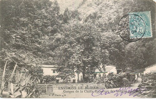 Algerie environs de blida - algerie,