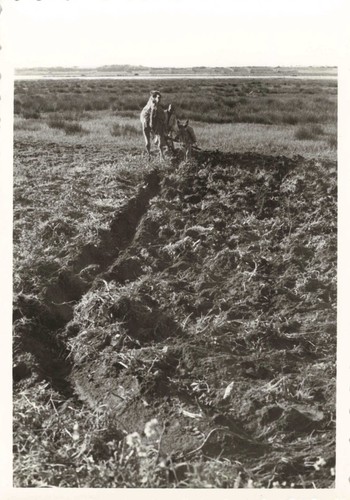 Ancienne photo 1960 maroc - photo,