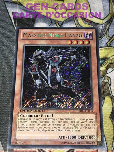 Carte maestro ninja - gi,