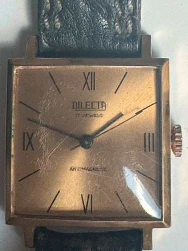 Montre homme dilecta 17 - homme,