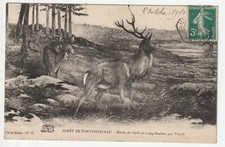 FONTAINEBLEAU - Seine & Marne - CPA 77 Chasse à Courre Harde de Cerfs par Virion