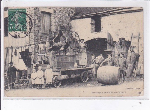 Loches sur ource - loches-sur-ource:, vendange