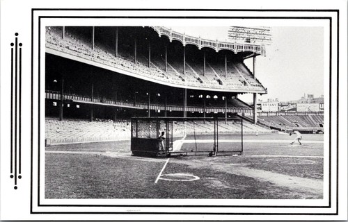 New york yankee baseball - new,