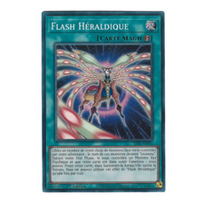 Yu-Gi-Oh! 🇫🇷 Flash