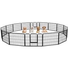 Parc chien chiot - chien, lapin