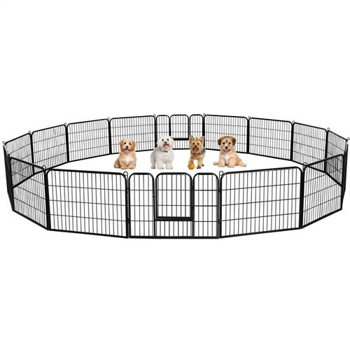 Parc chien chiot rongeur - chiot, lapin