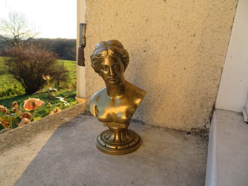 Buste vénus bronze 13 - vénus,