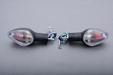 Paire de Clignotants Avant