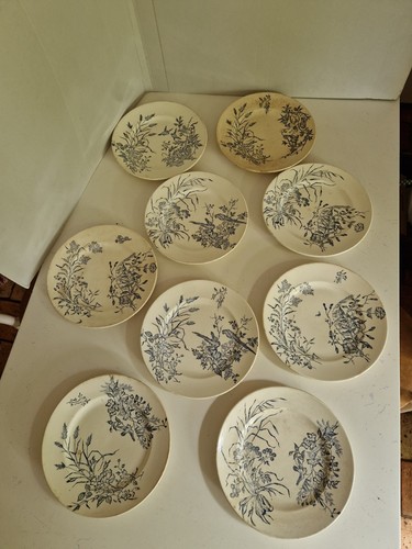 Lot assiettes plates - 9,