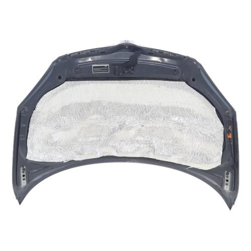 Capot skoda fabia - skoda, 1