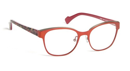 450 grandes lunettes - 450€,