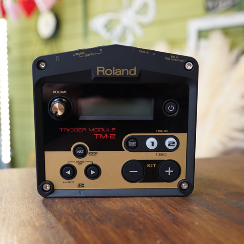Roland drum trigger - tm-2,