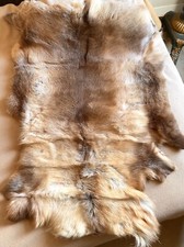 Grande peau cerf fourrure taxidermie Chalet tapis décoration  Viking