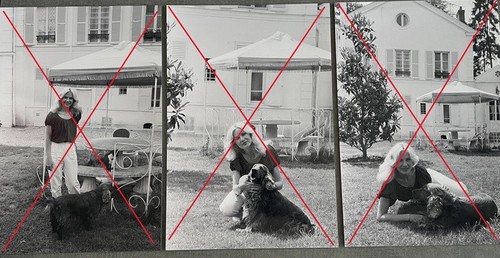 Michèle torr lot - :, 3